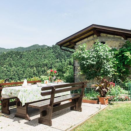 Pocitniska Hisa Pologar Guest House โทลมิน ภายนอก รูปภาพ